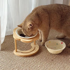 Food Utensils Cat Dog Pet Supplies Accessories Ceramic Pet Cat Bowl Pet Drinking Water Feeding Bowl Ceramics Cat Food