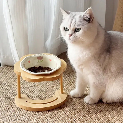 Food Utensils Cat Dog Pet Supplies Accessories Ceramic Pet Cat Bowl Pet Drinking Water Feeding Bowl Ceramics Cat Food
