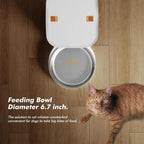 FURPIPI Smart 8L Automatic Pet Feeder with Timer USB & Battery Powered Slow Feed Dispenser for Cats and Dogs No Plug