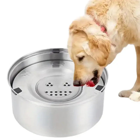 Gamelle antidérapante pour chien