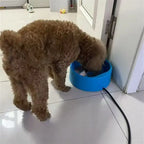Gamelle isotherme pour animaux