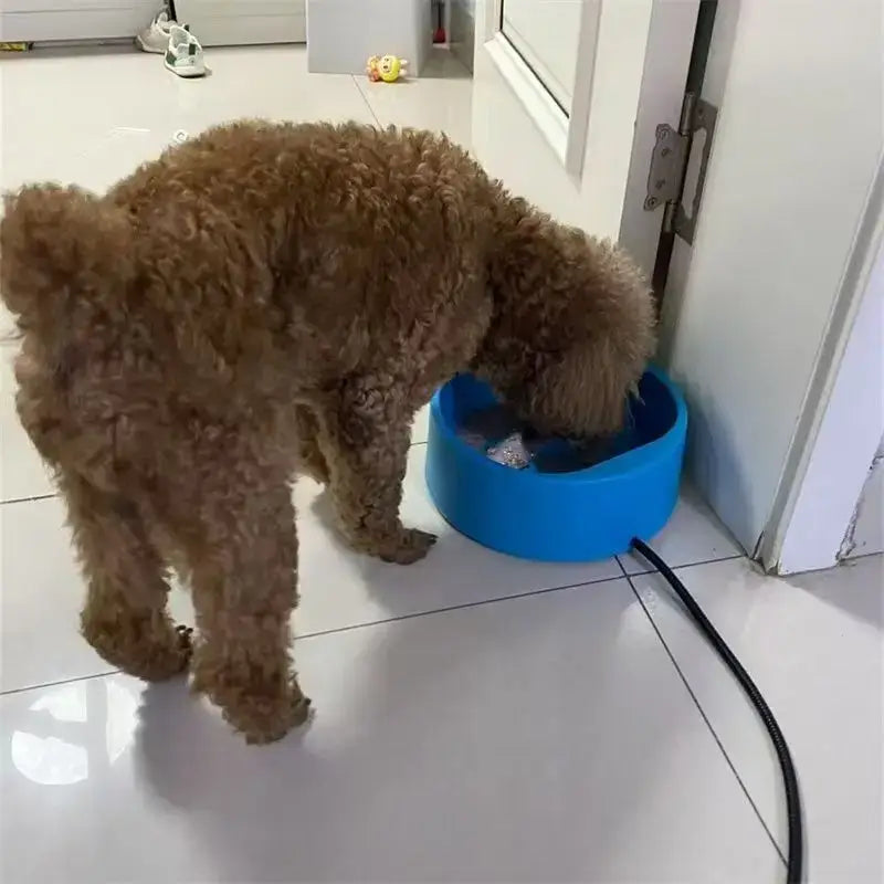 Gamelle isotherme pour animaux