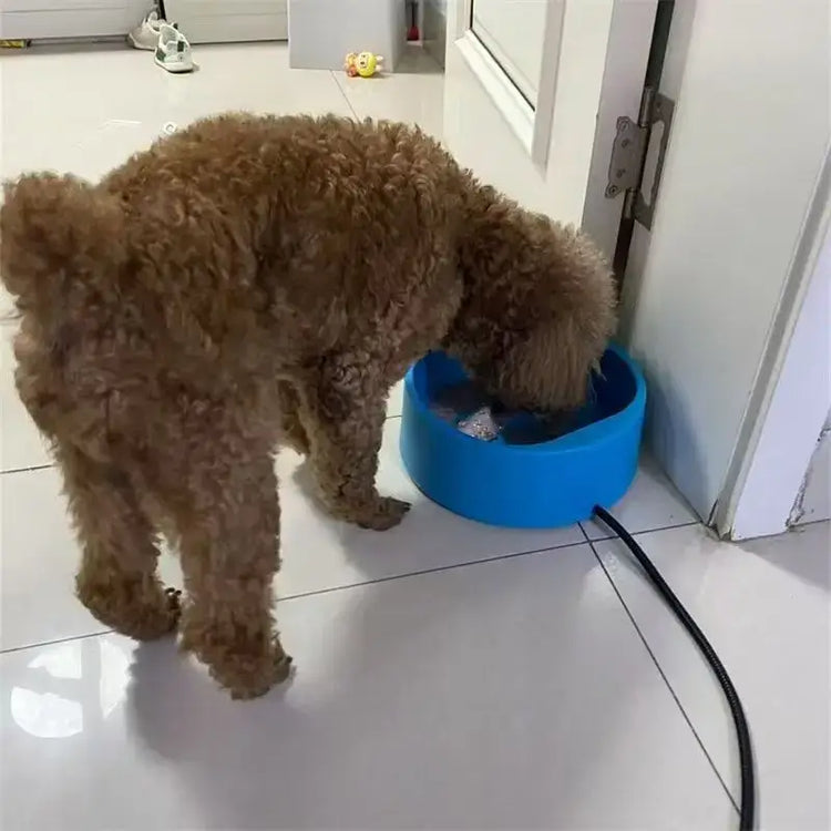 Gamelle isotherme pour animaux