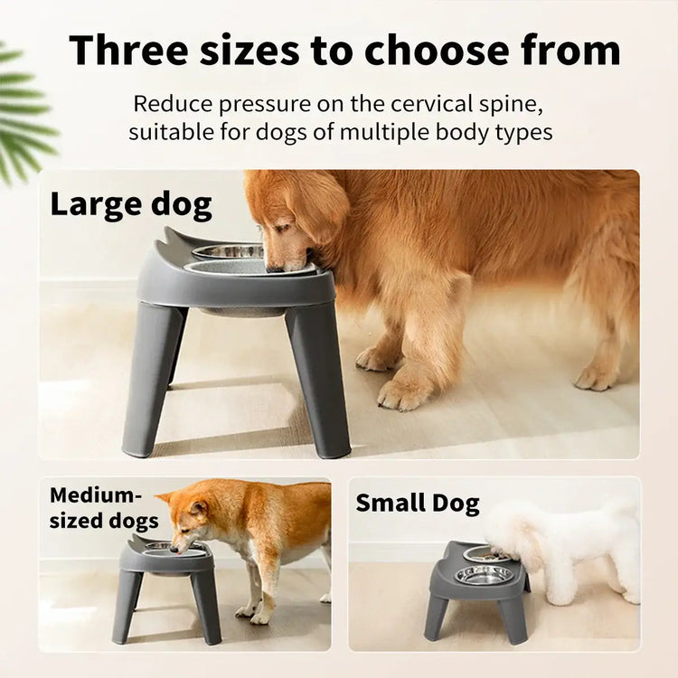 Gamelle pour chien monobloc