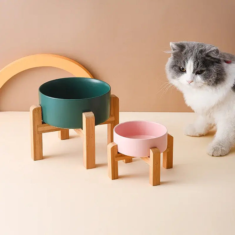Gamelle pour grands chiens de tailles variées