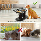 Gamelle surélevée à 3 niveaux pour chat - black