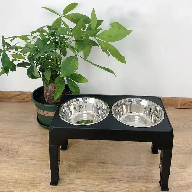 Gamelles surélevées pour chiens