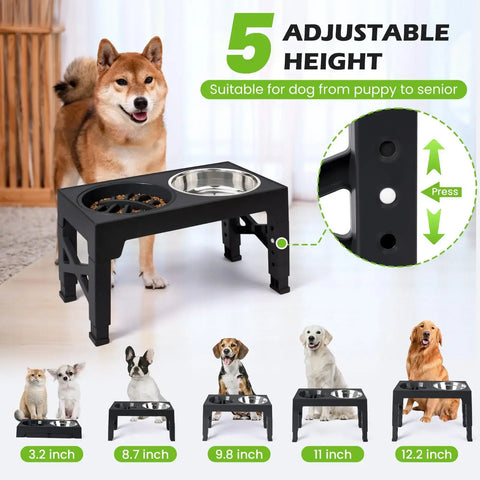 Gamelles surélevées pour chiens