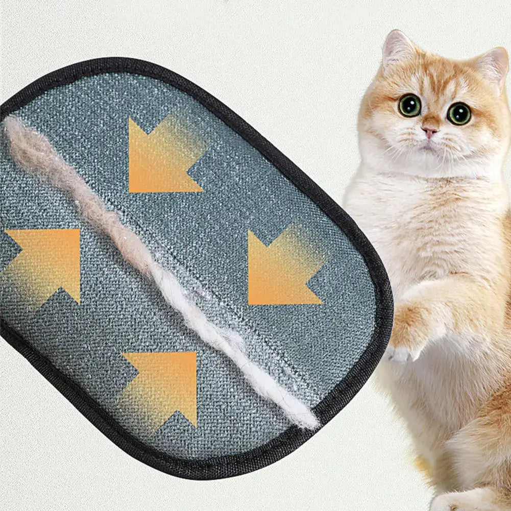 Gants anti-poils d’animaux