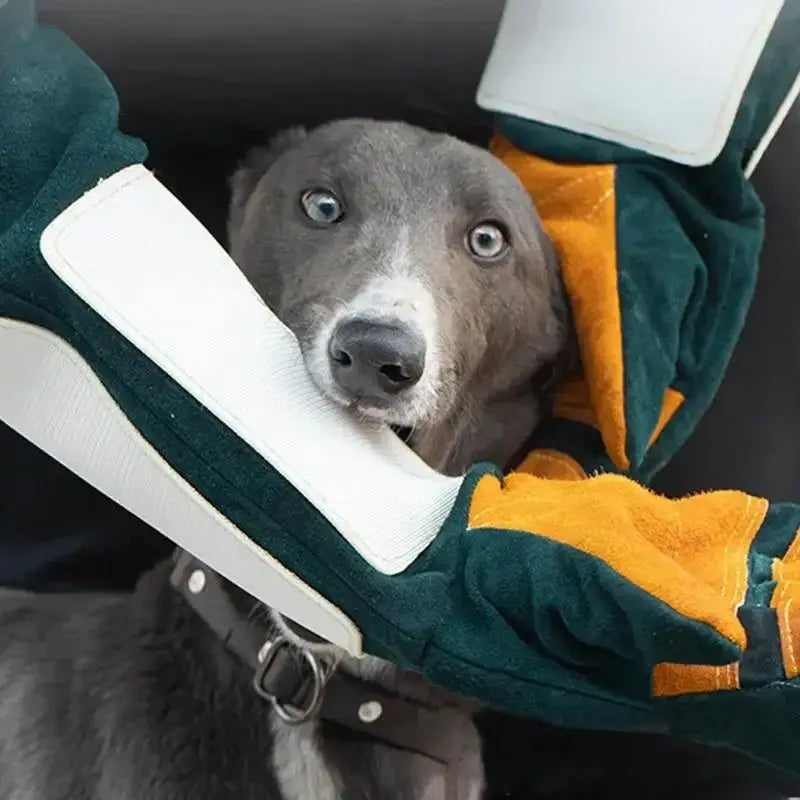Gants de protection résistants aux morsures de chien. - 1 Pair Gloves / 60CM