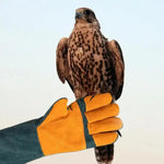 Gants de protection résistants aux morsures de chien. - 1 Pair Gloves / 60CM