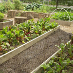 Gardening Cat Scat Mat Repellent Mat Anti-Cat With Prickle Strips Spikes Straps Prevent Cats&dogs From Digging Garden
