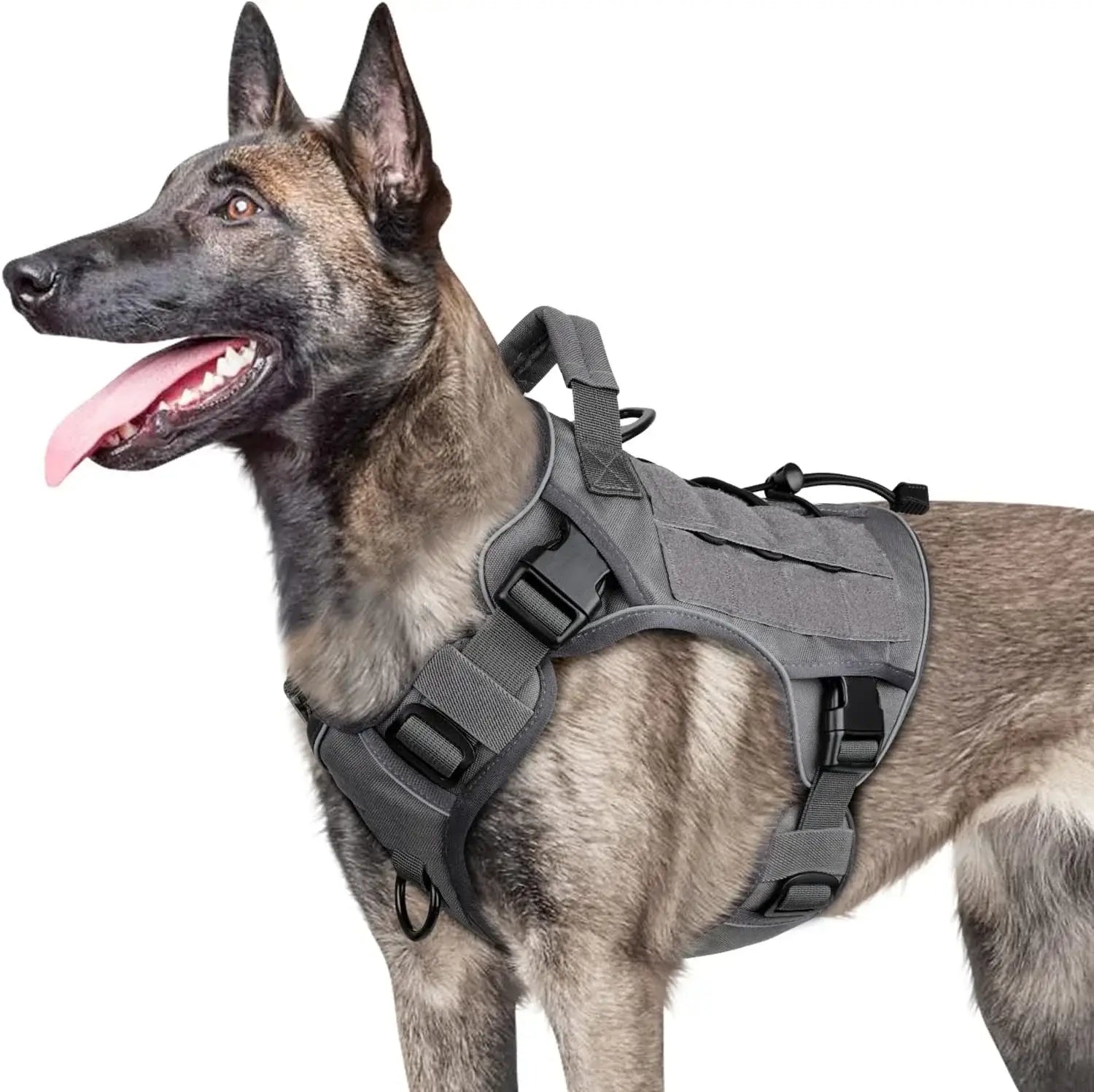Gilet harnais ajustable et rembourré - france / S / GRAY