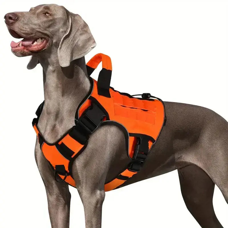 Gilet harnais ajustable et rembourré - france / S / Orange