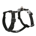 Gilet harnais pour animaux de compagnie - BLACK / chest-50-60CM / China Mainland
