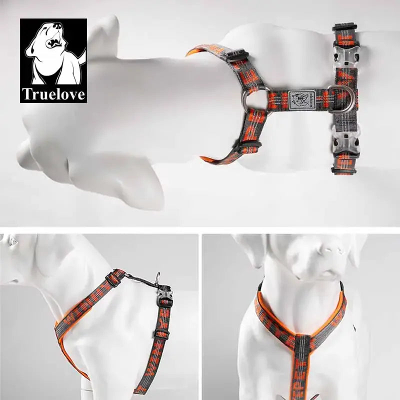 Gilet harnais pour animaux de compagnie