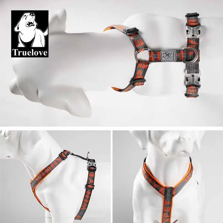 Gilet harnais pour animaux de compagnie