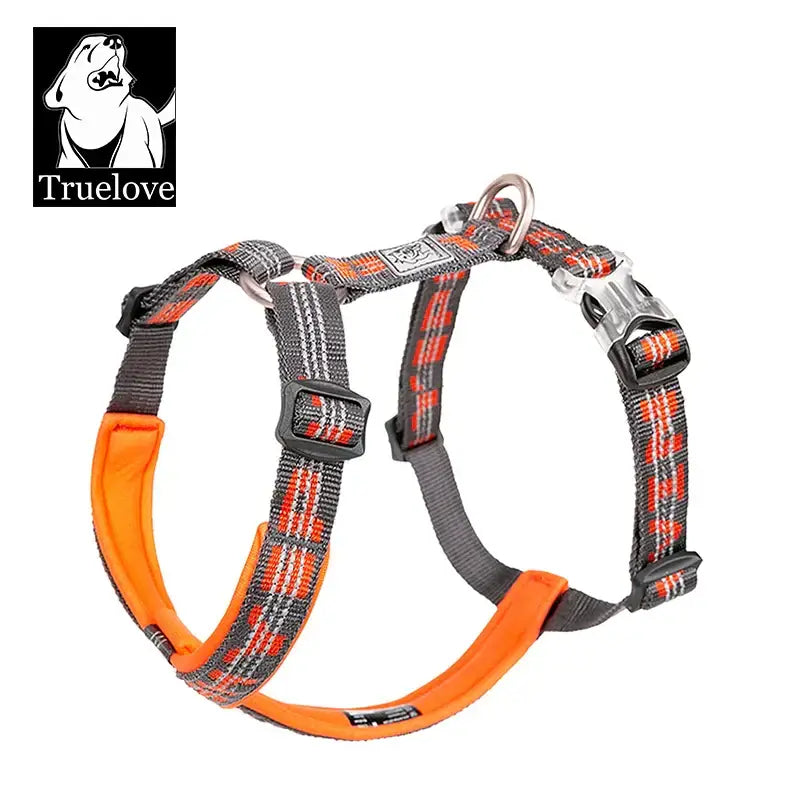 Gilet harnais pour animaux de compagnie