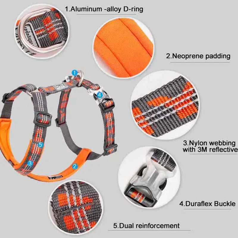 Gilet harnais pour animaux de compagnie
