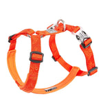 Gilet harnais pour animaux de compagnie - ORANGE / chest-60-80CM / China Mainland
