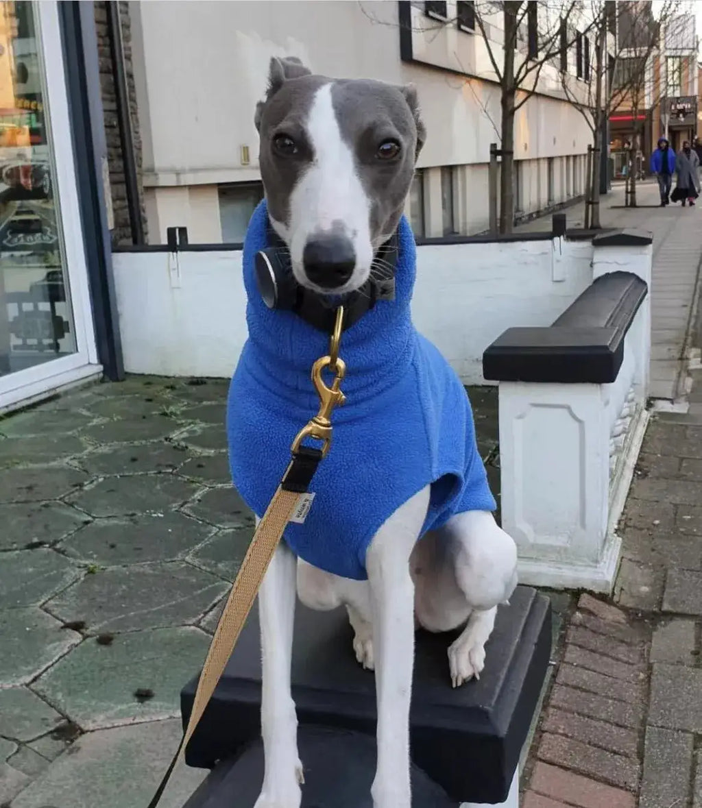Gilet polaire d’hiver pour whippet - Blue / XL