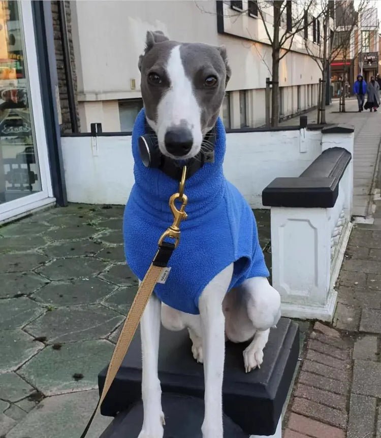 Gilet polaire d’hiver pour whippet - Blue / XL