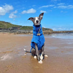 Gilet polaire d’hiver pour whippet