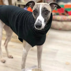 Gilet polaire d’hiver pour whippet