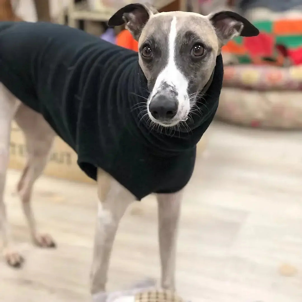 Gilet polaire d’hiver pour whippet