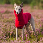 Gilet polaire d’hiver pour whippet - Red / L