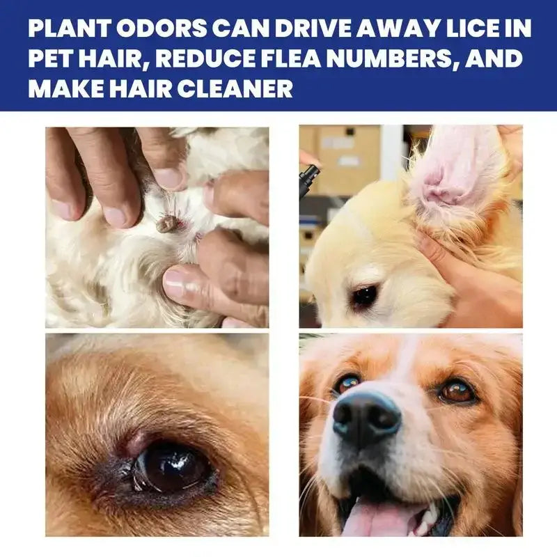 Gouttes anti-puces pour animaux de compagnie