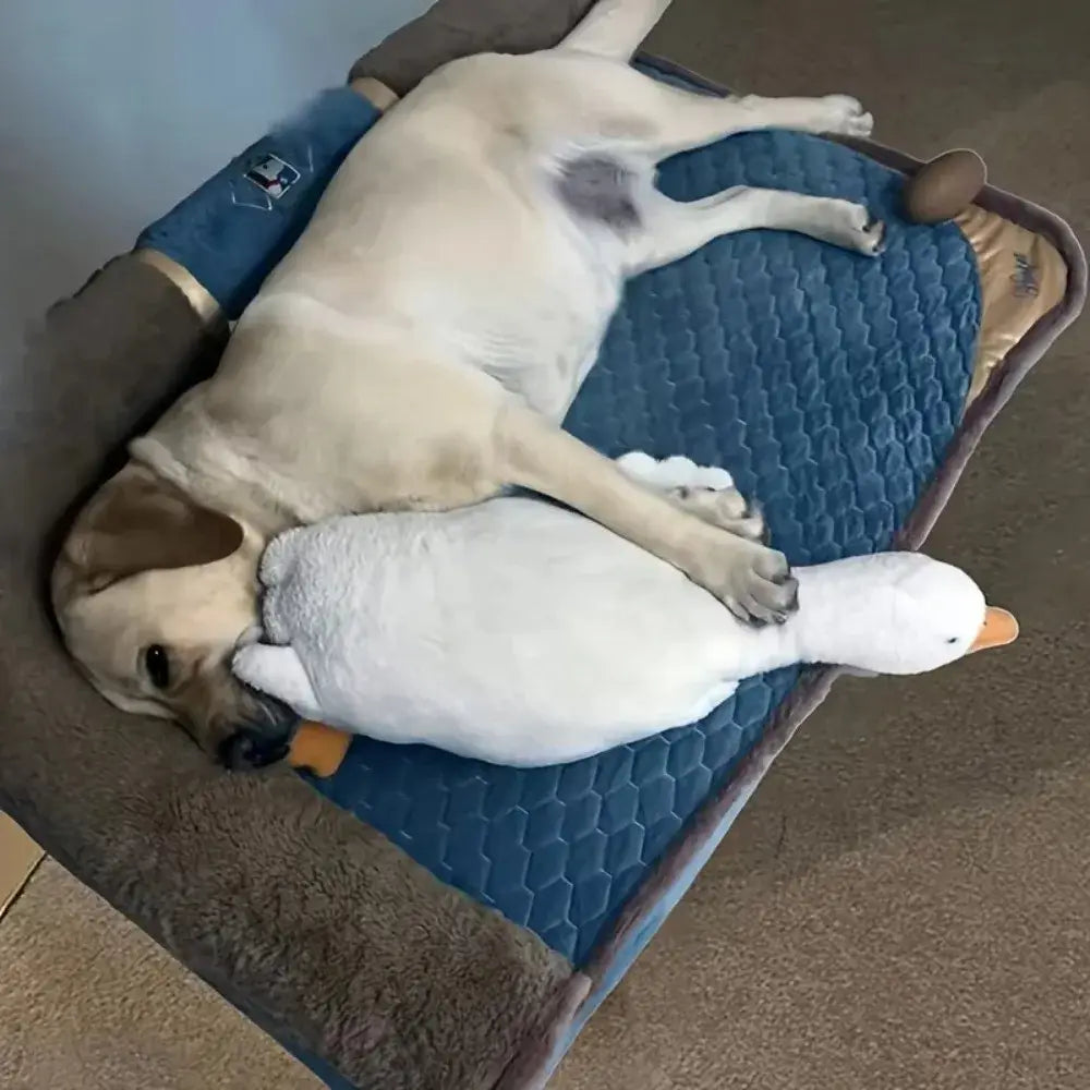 Grand jouet réaliste pour chien en forme de canard - 50cm
