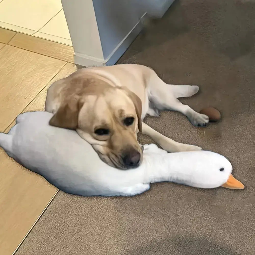Grand jouet réaliste pour chien en forme de canard - 50cm