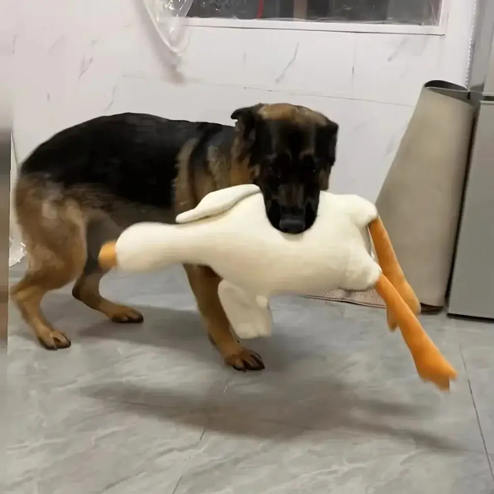 Grand jouet réaliste pour chien en forme de canard - 50cm