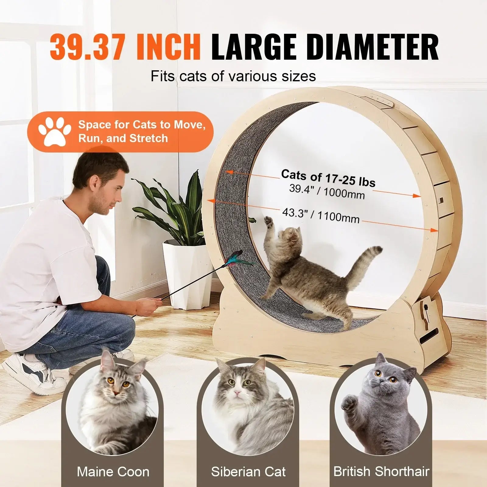Grande roue de tapis roulant pour chat