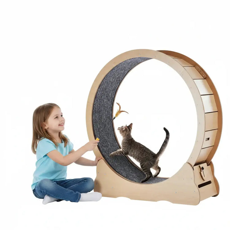 Roue d'exercice pour chat d'intérieur