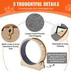 Grande roue de tapis roulant pour chat