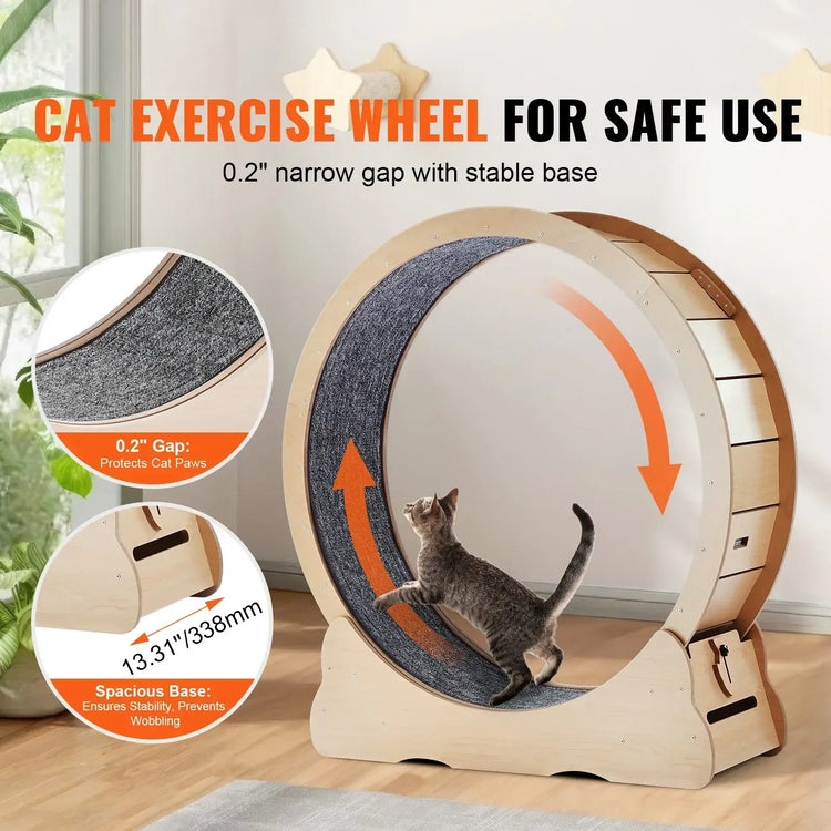 Grande roue de tapis roulant pour chat