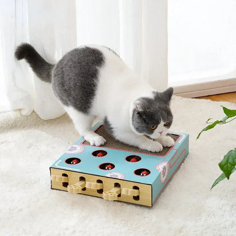 Griffoir pour chat carton ondulé PawFrance