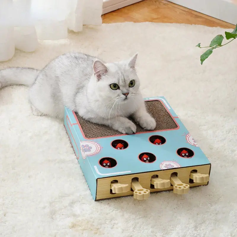 Griffoir pour chat carton ondulé PawFrance