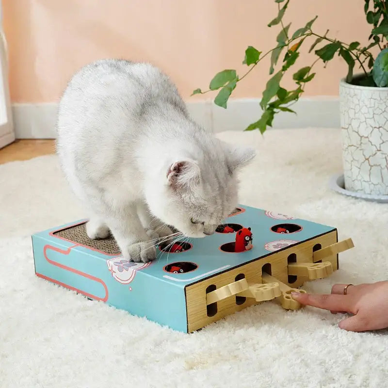 Griffoir pour chat carton ondulé PawFrance