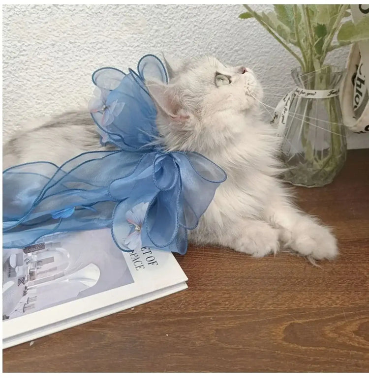 Handmade Lace Neck Collars for Pets Big Bow Collars for Puppy and Cats Cute and Elegant Blue and Pink Pet Accessories