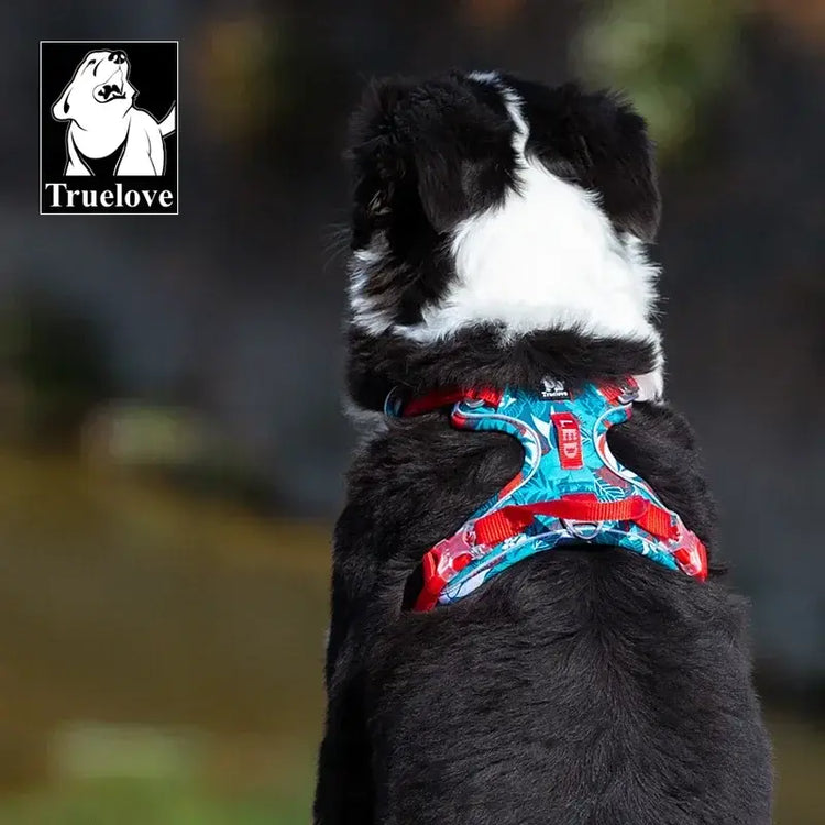 Harnais anti-explosion pour chien
