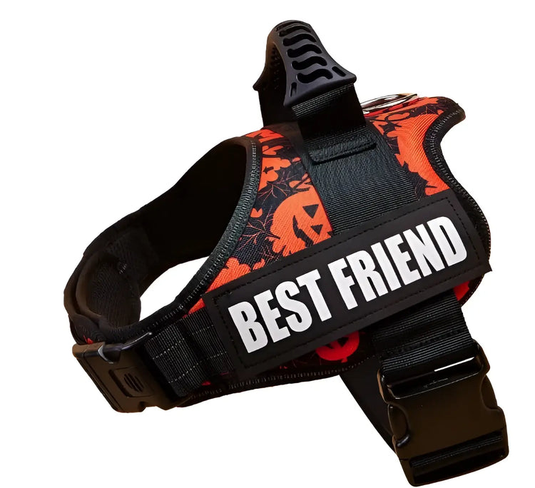 Harnais pour chien avec nom personnalisé