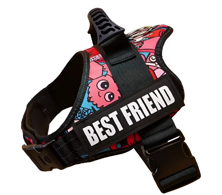 Harnais pour chien avec nom personnalisé