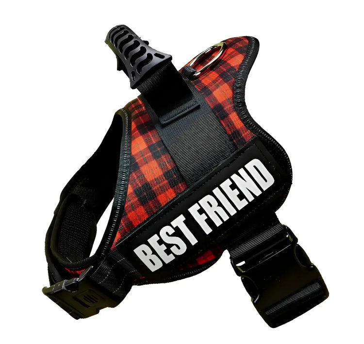 Harnais pour chien avec nom personnalisé - Red grid / M