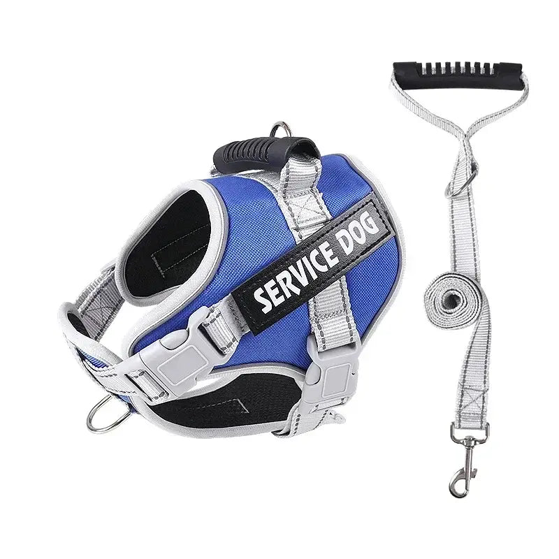 Harnais chien personnalisé - Blue set / About 4-7kg dogs