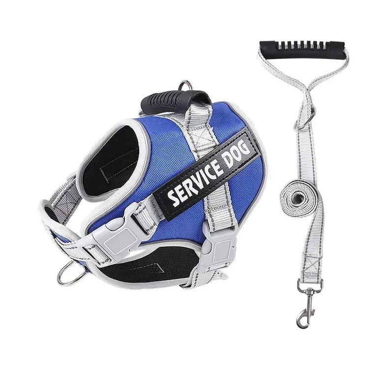 Harnais chien personnalisé - Blue set / About 4-7kg dogs