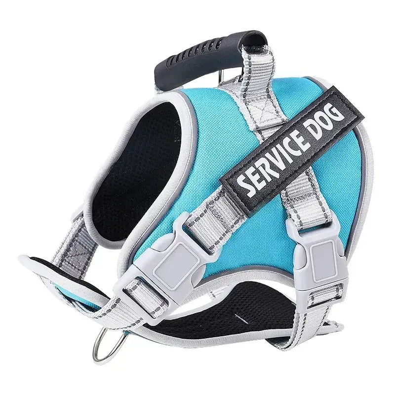 Harnais chien personnalisé - Sky Blue / About 40-70kg dogs