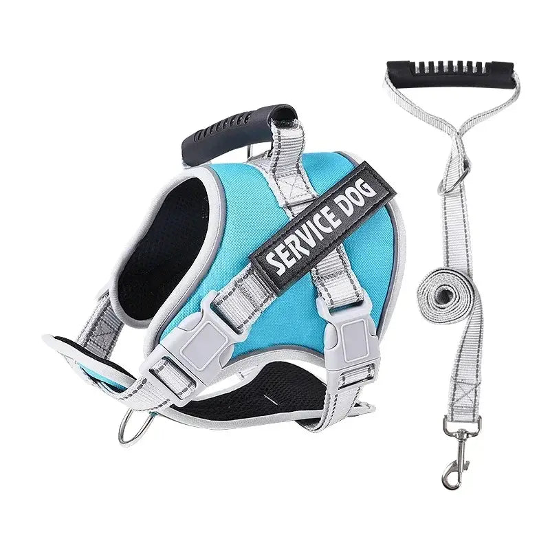 Harnais chien personnalisé - Sky Blue set / About 40-70kg dogs